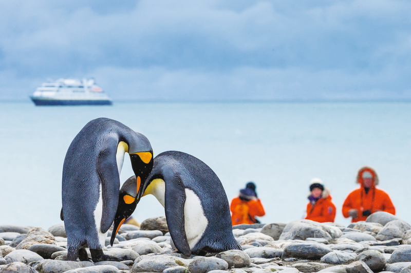 Guests explore King penguins in Salisbury Plains with the ship National Geographic Orion at bay, South Georgia, Antarctica