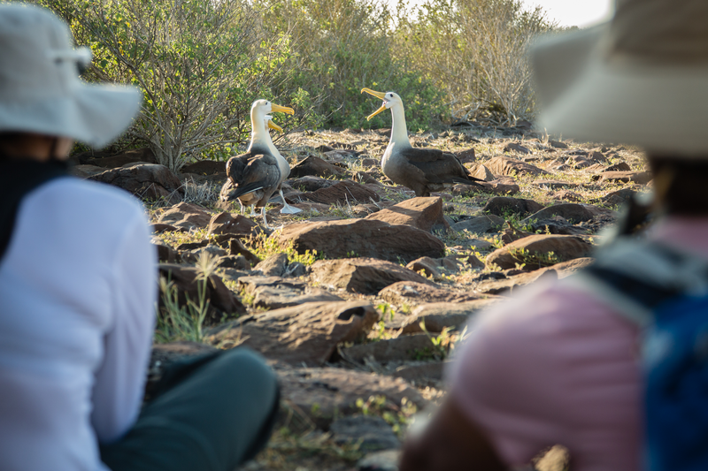 Guests sit and observe birds at Española Island, Galapagos, Ecuador
