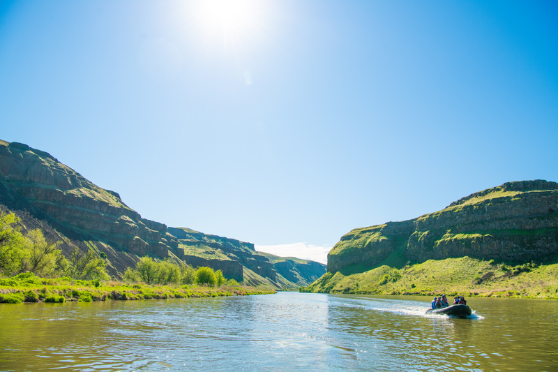 Guests on zodiac excursion exploring the Palouse River.