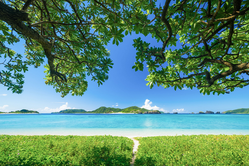 Japan, Kerama Islands, Okinawa Prefecture, Zamami Island, Beach