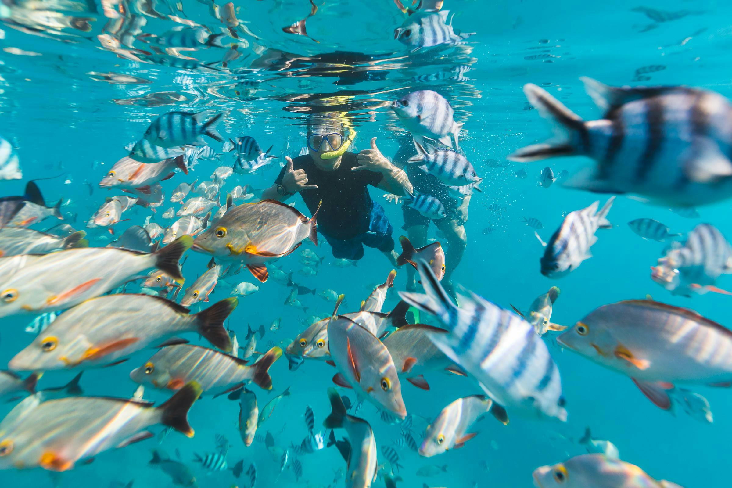 A Lindblad staff member snorkeling among a schools of fish at the Aquarium site in Rangiroa atoll in French Polynesia