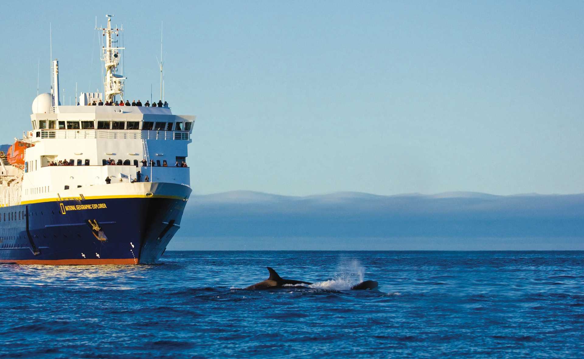 Killer orca whales swim in front of the ship National Geographic Explorer, Lower Savage Island, Baffin Island, Nunavut, Canada.