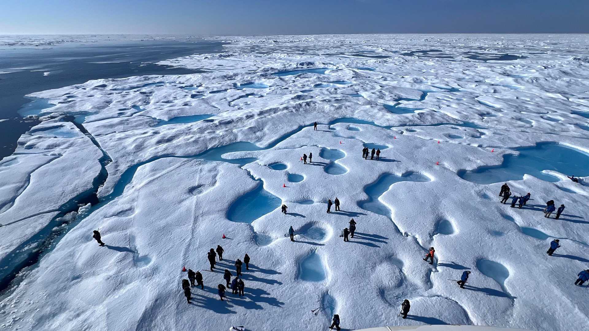 view from above of people walking on sea ice