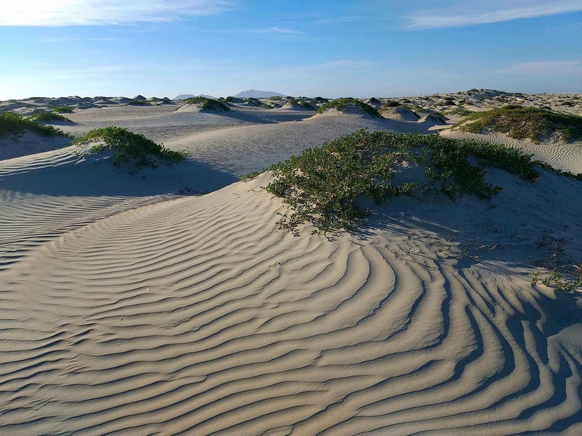 sand dunes