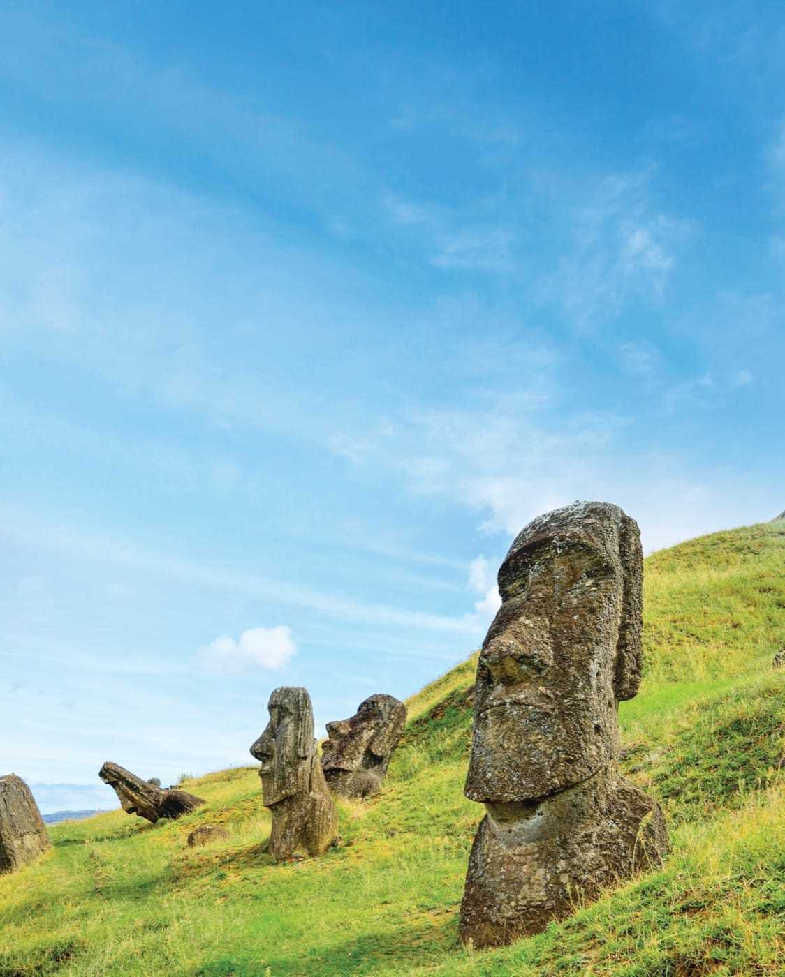 The carved stone heads of the Easter Islands stare blankly ahead from their grassy knoll
