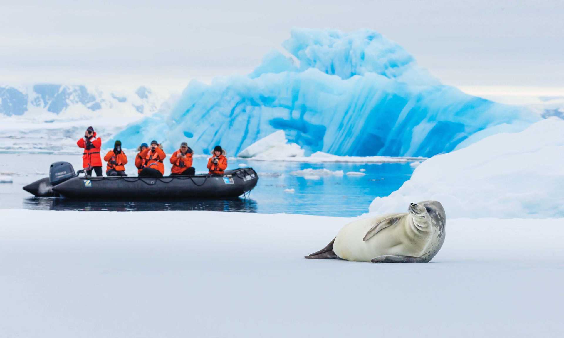 Seal sighting from Zodiac.jpg