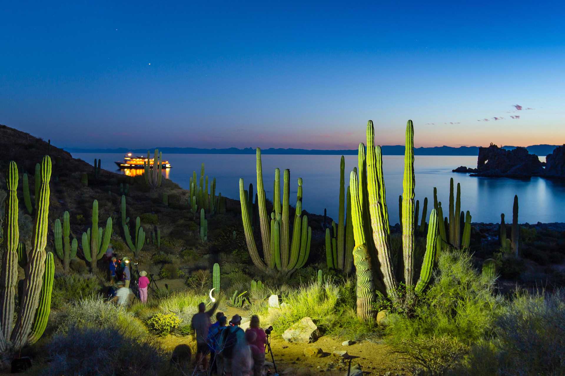 Photographing Baja cacti at night.jpg