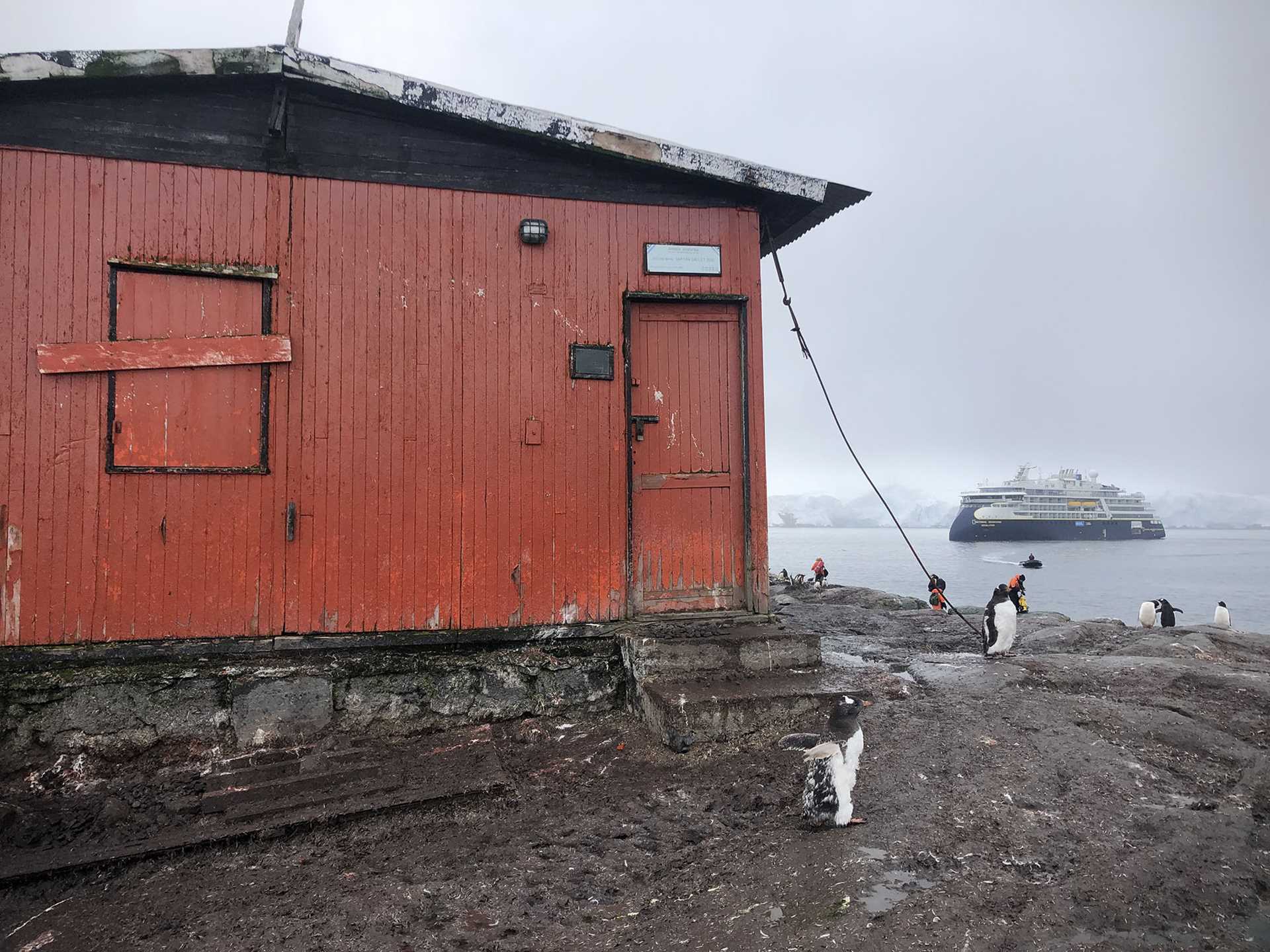 a red hut with penguins in front of it and a ship in the background