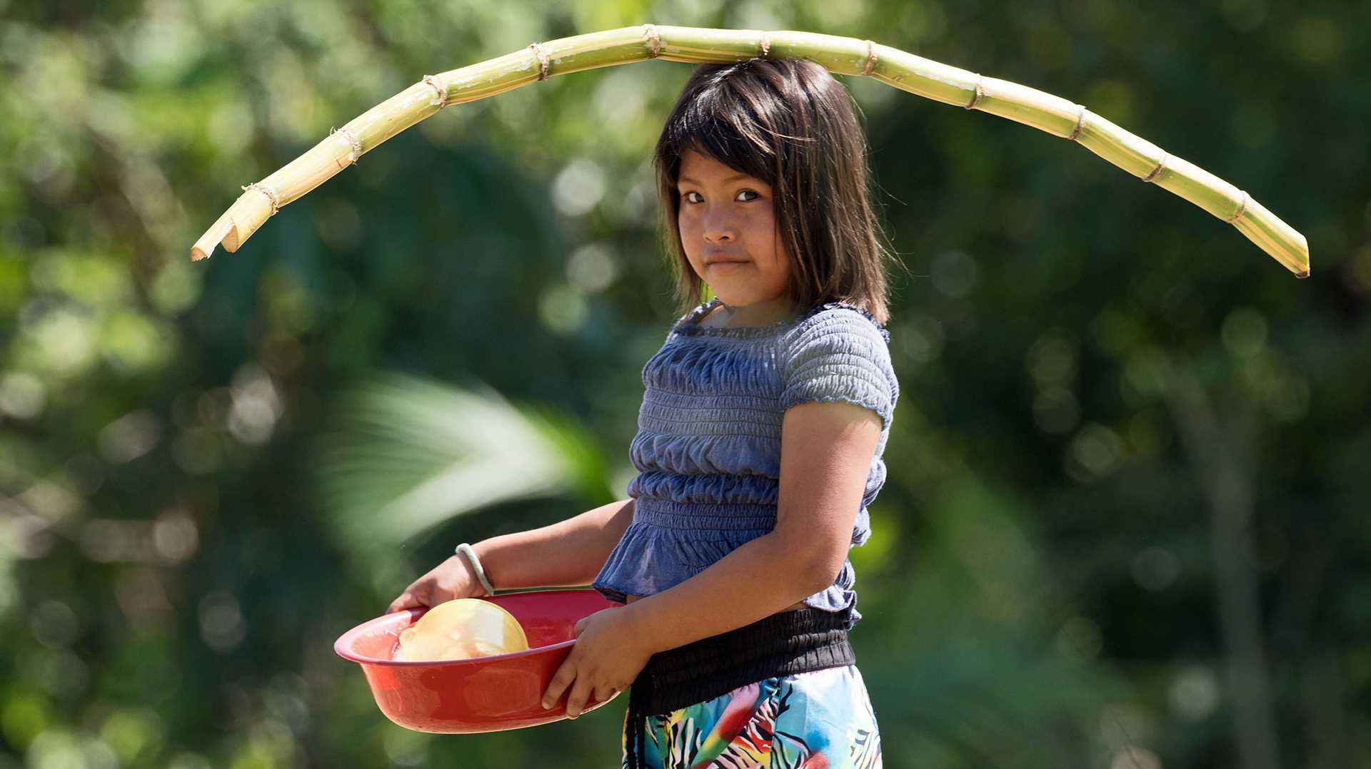 child transporting sugarcane on her head