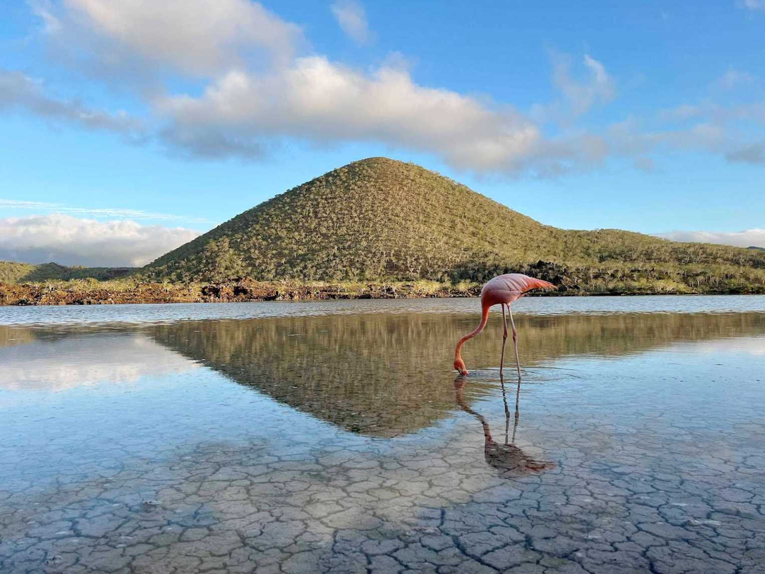 Floreana Island, Galápagos.jpg