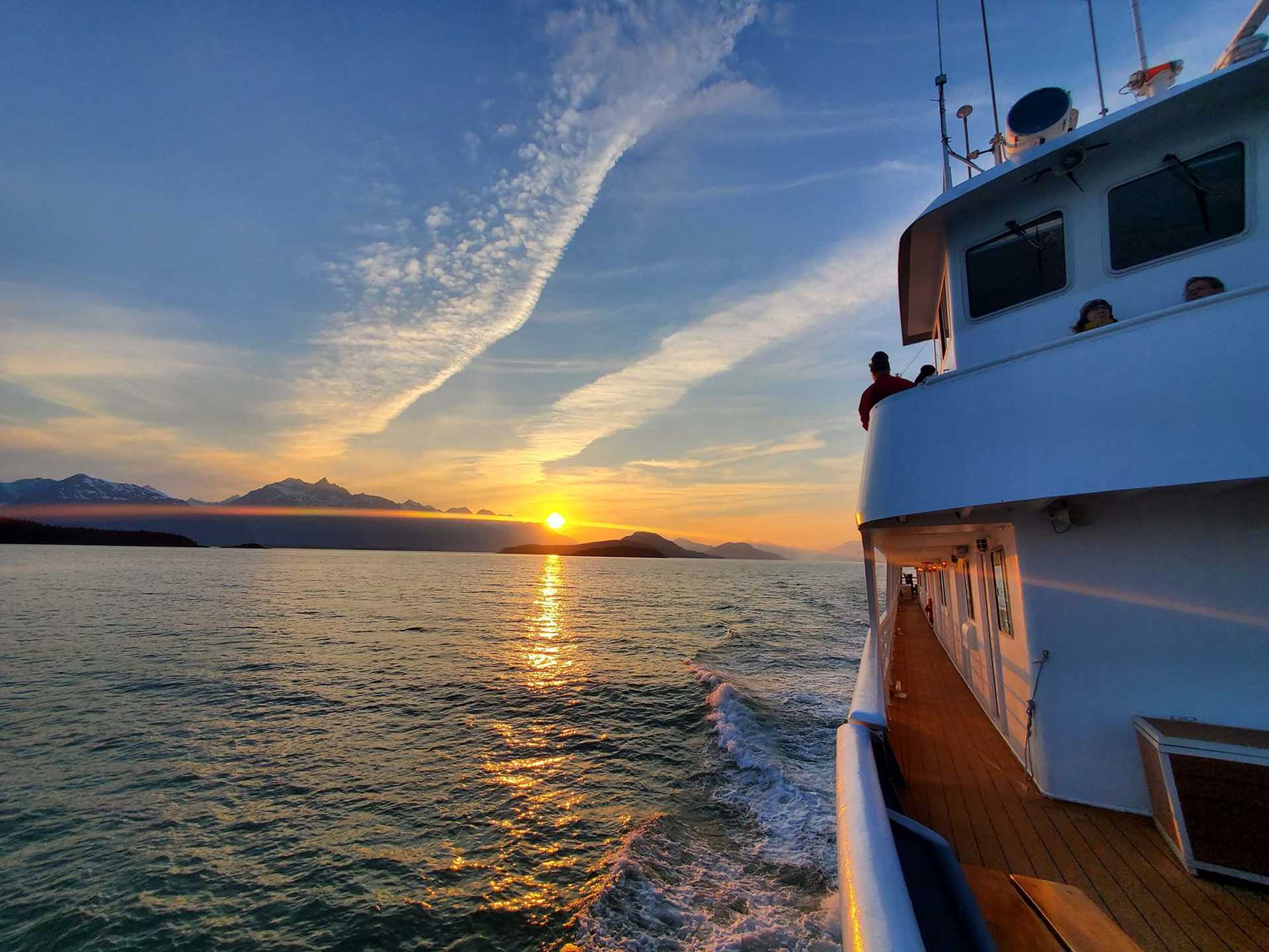 national geographic sea bird at sunset