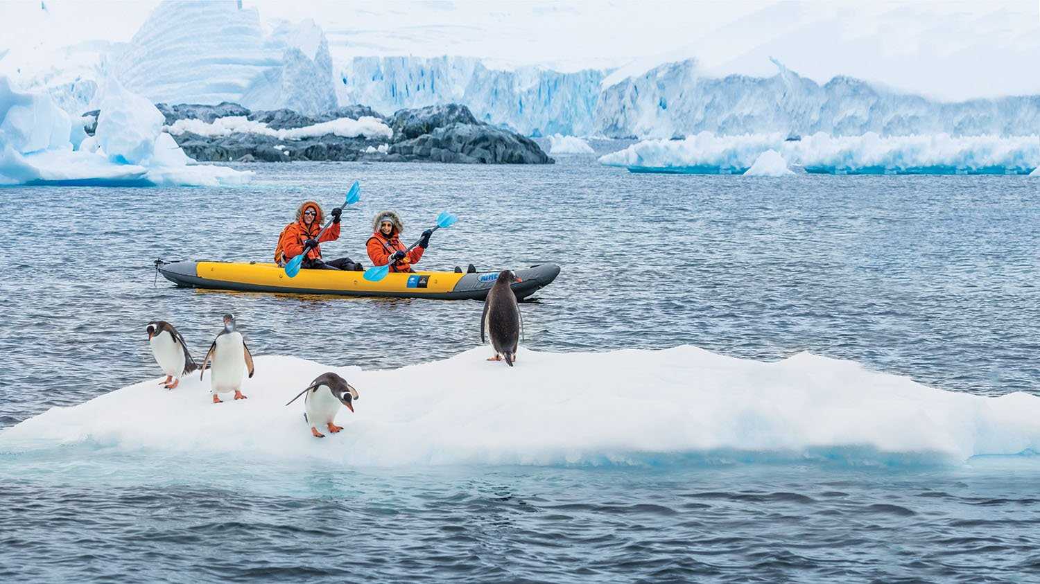 Guests spot penguins as they Kayak in the blue waters of Antarctica.