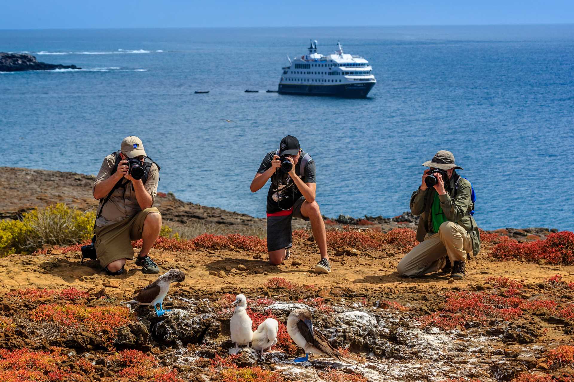 Photographers take picture of blue-footed boobies on San Cristobal Island, Galápagos with the ship Naitonal Geographic Endeavour II in the distance.