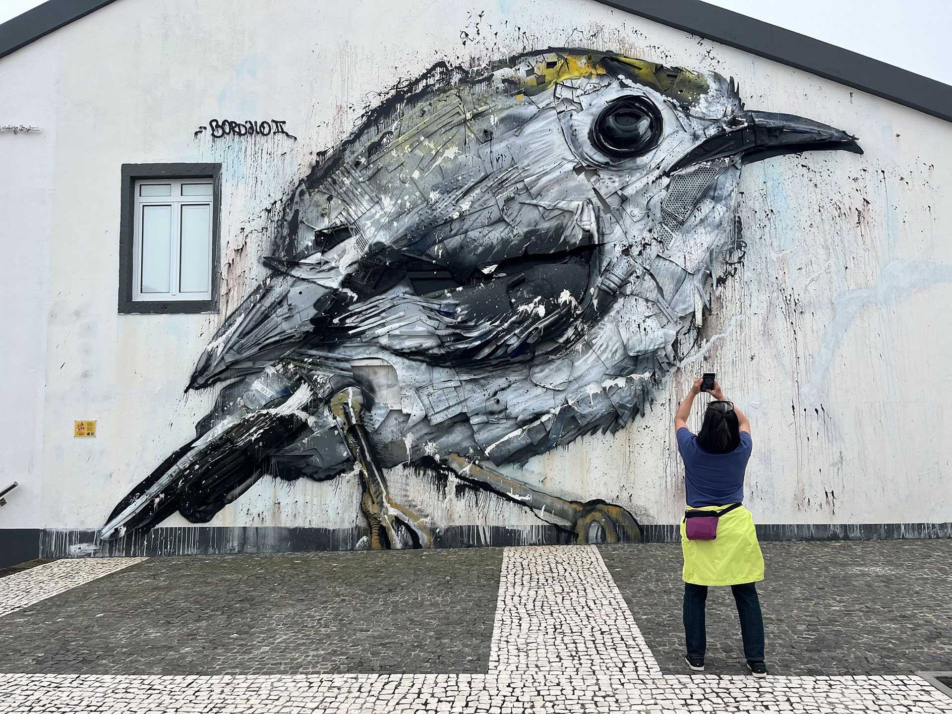 a woman takes a photo of a bird mural