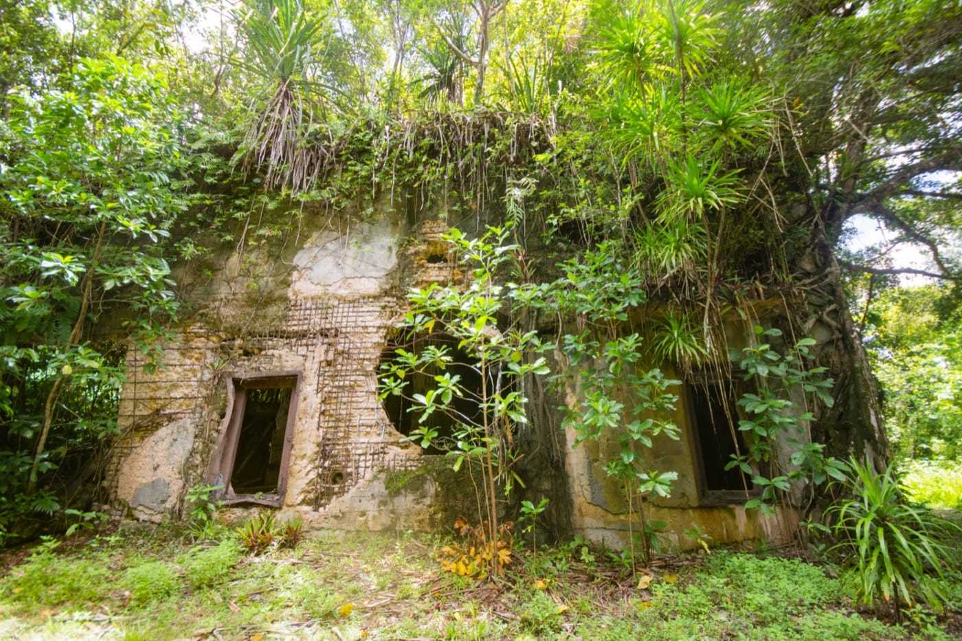 WWII Ruins on Palau.jpg