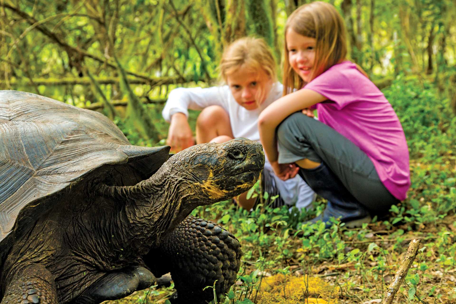 Two children sit close to a giant Galápagos tortoise.