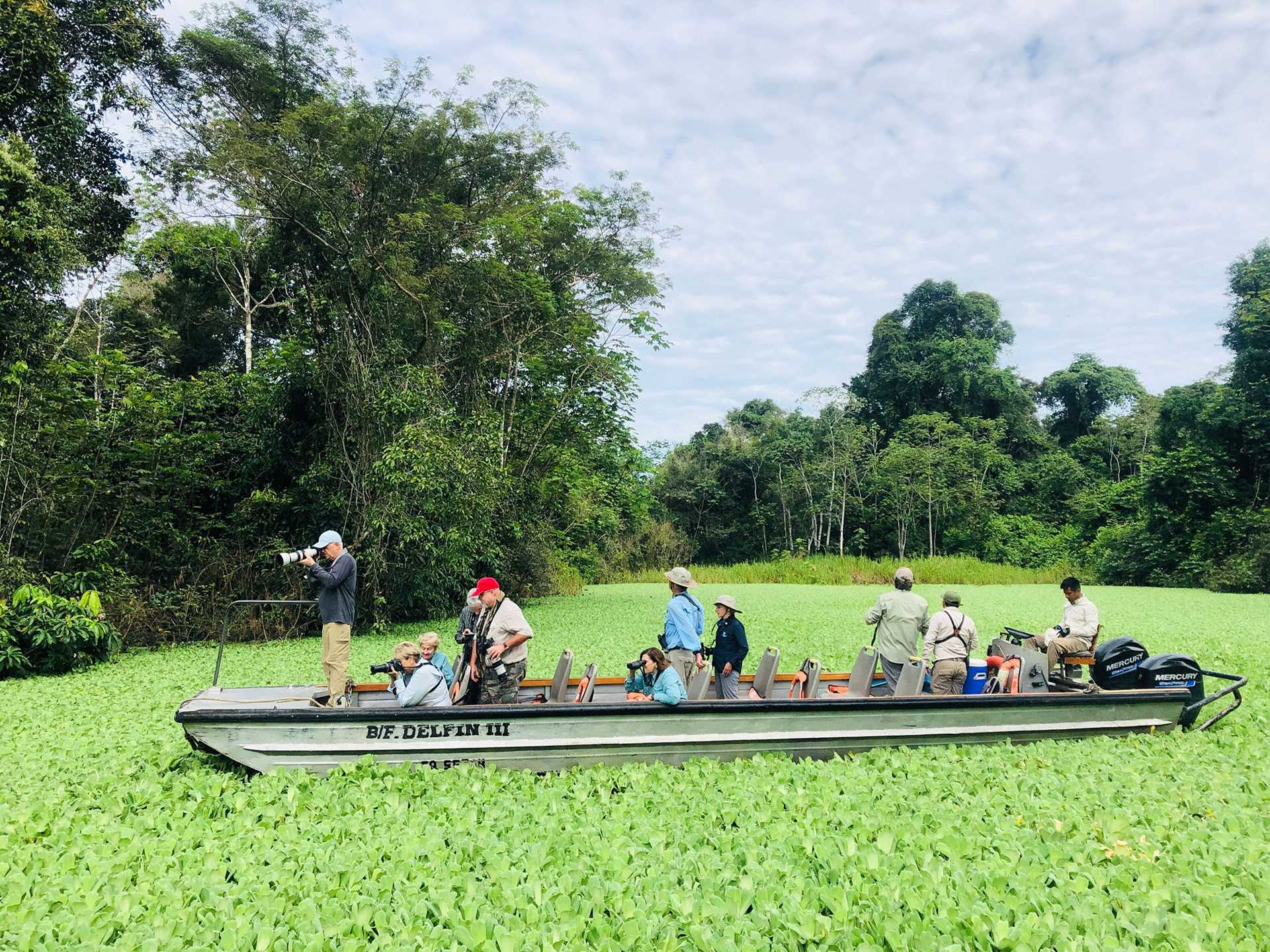 a boat floating on a lake covered in plants