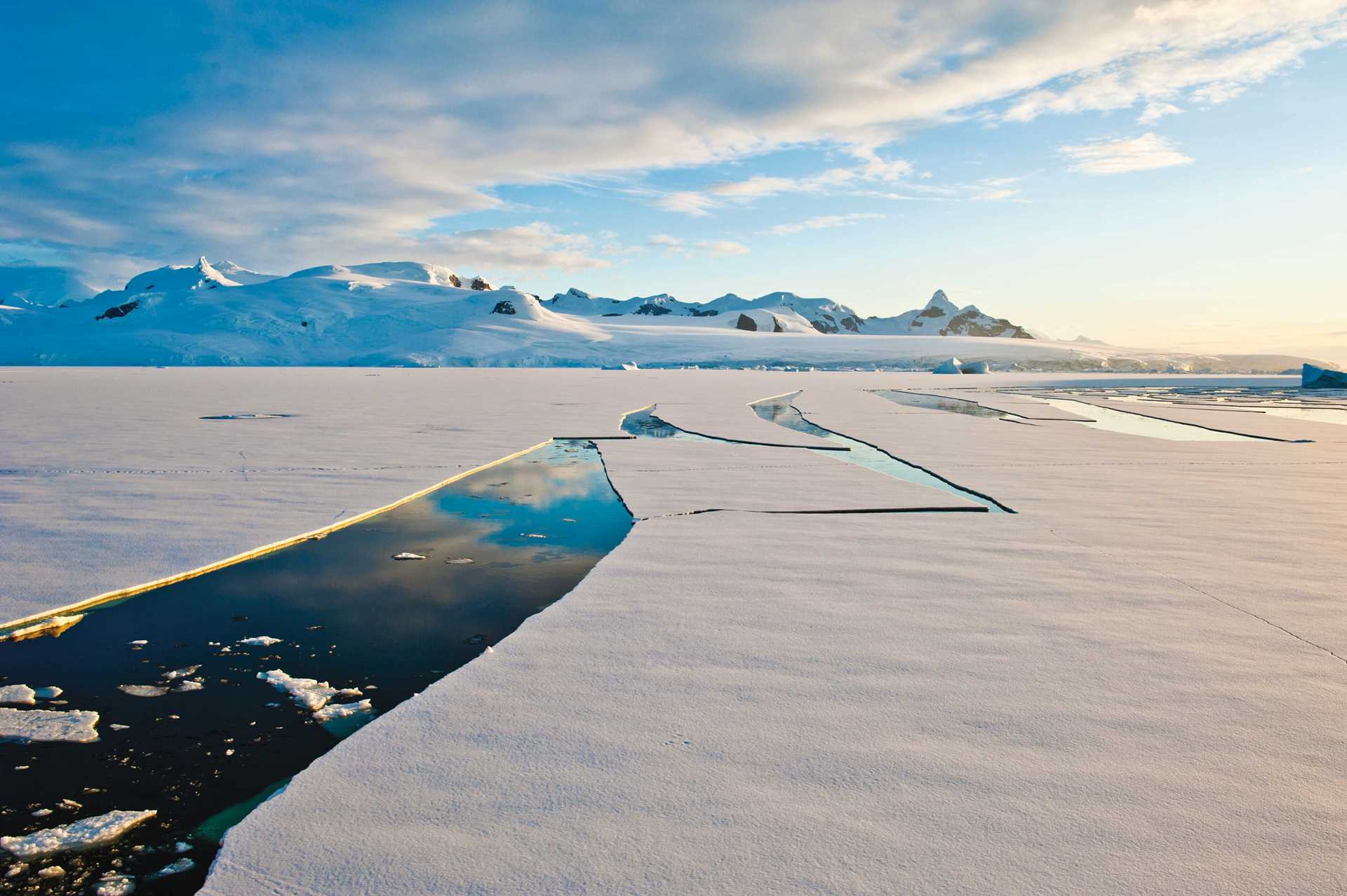 Antarctic pack ice with snowy mountains in the distance.