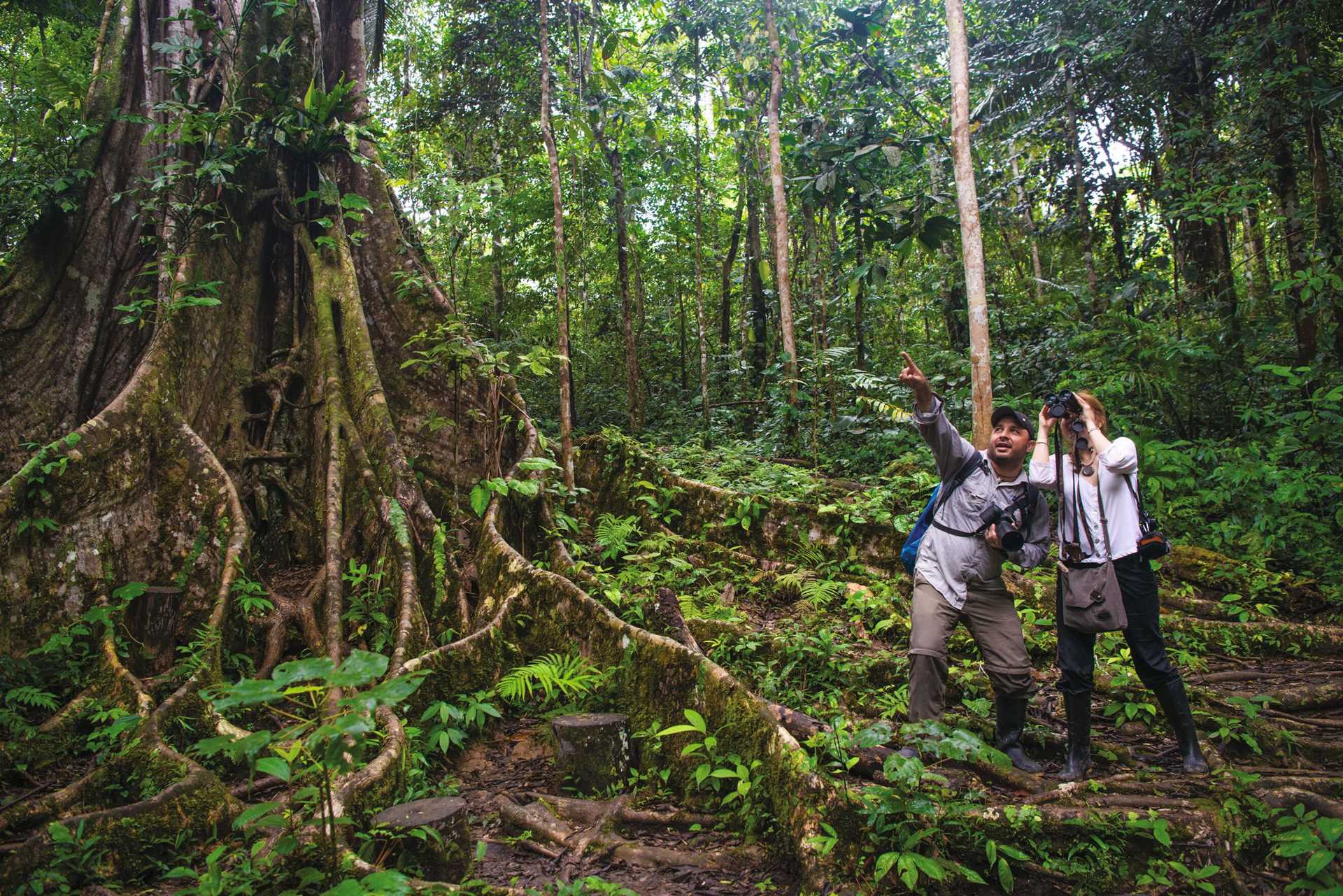 Large RGB-Lindblad Expeditions-Peru Amazon AZ123.jpg