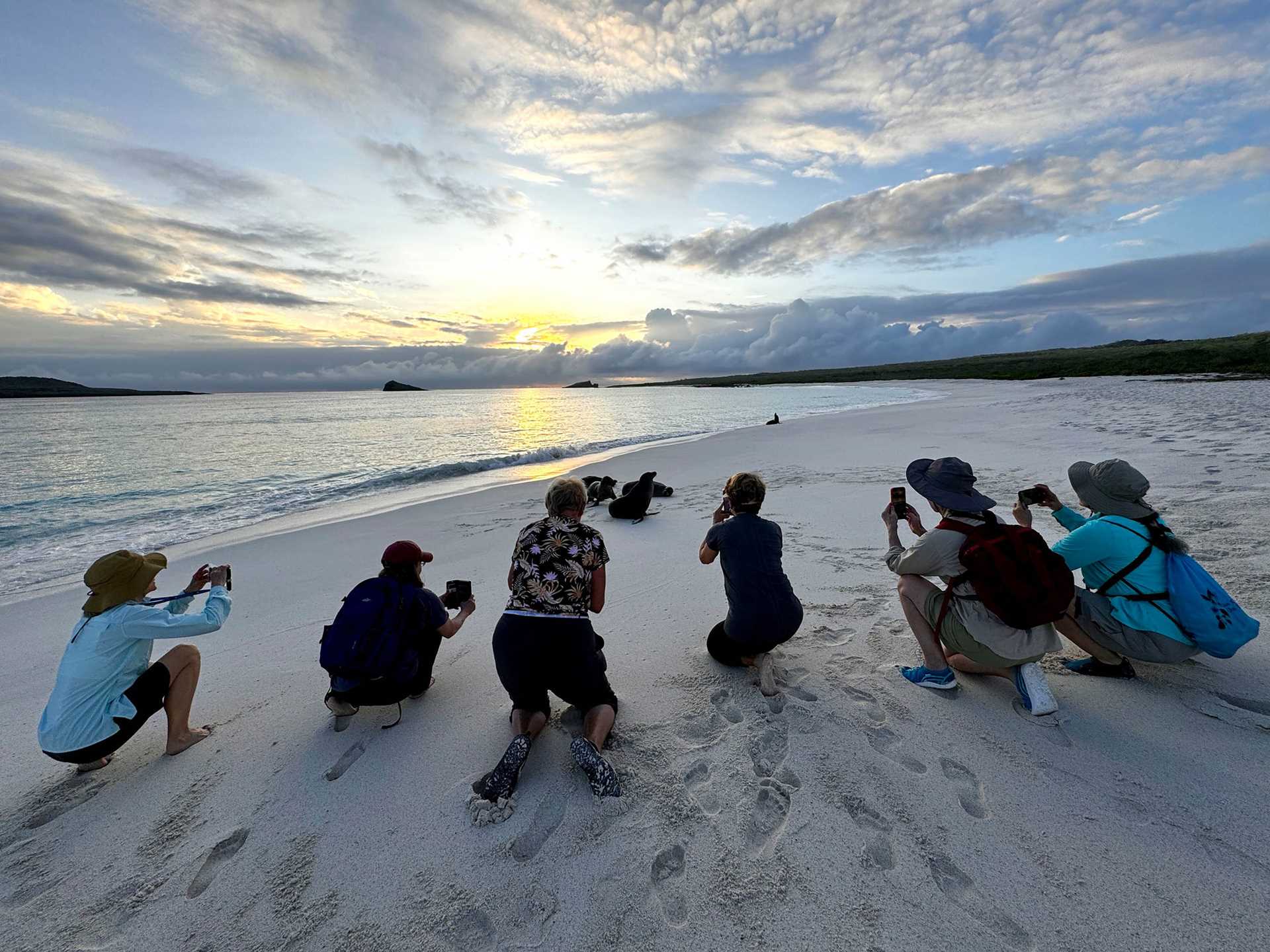 people photograph a sea lion on a beach