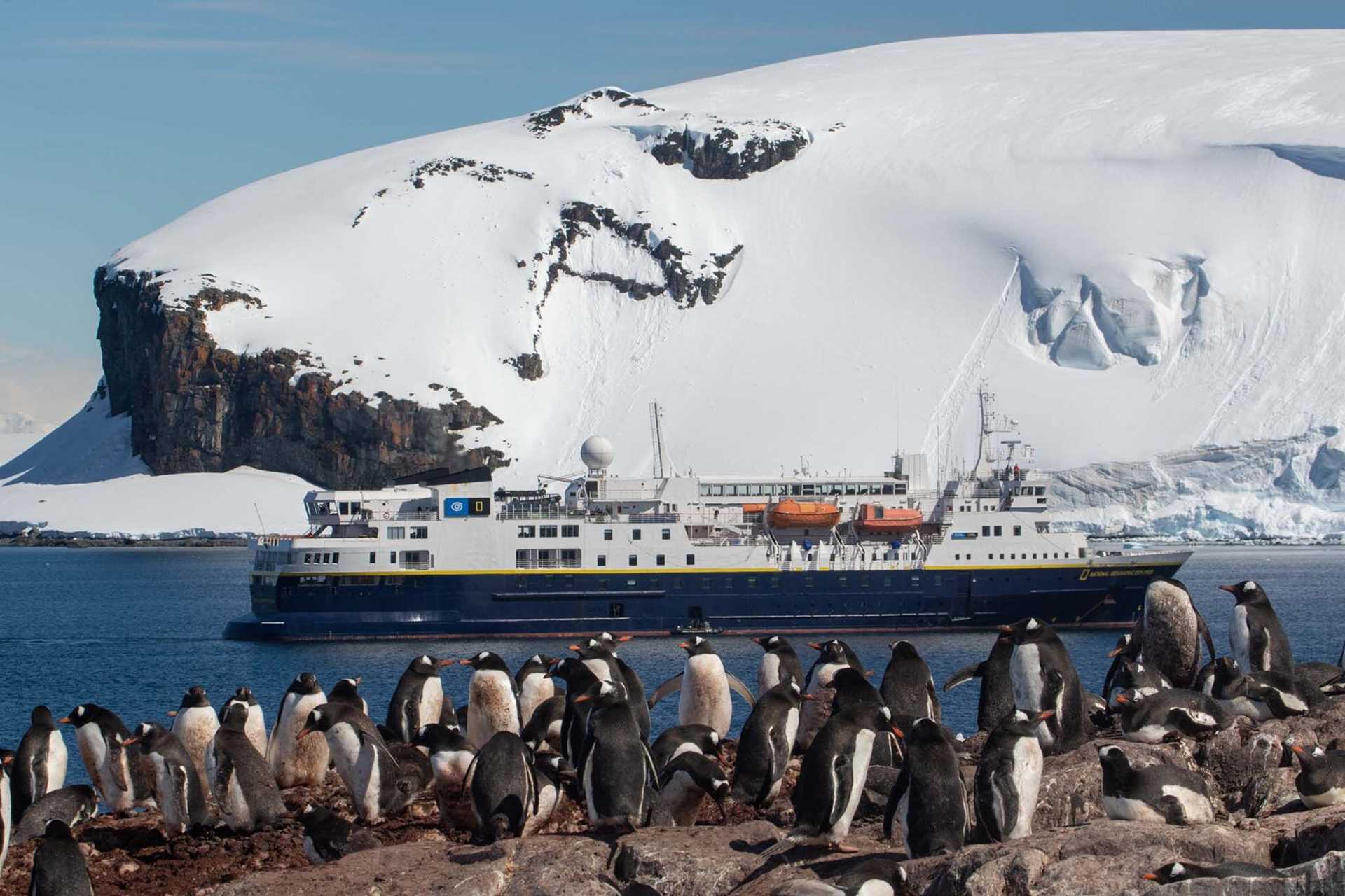 several dozen penguins in front of National Geographic Explorer