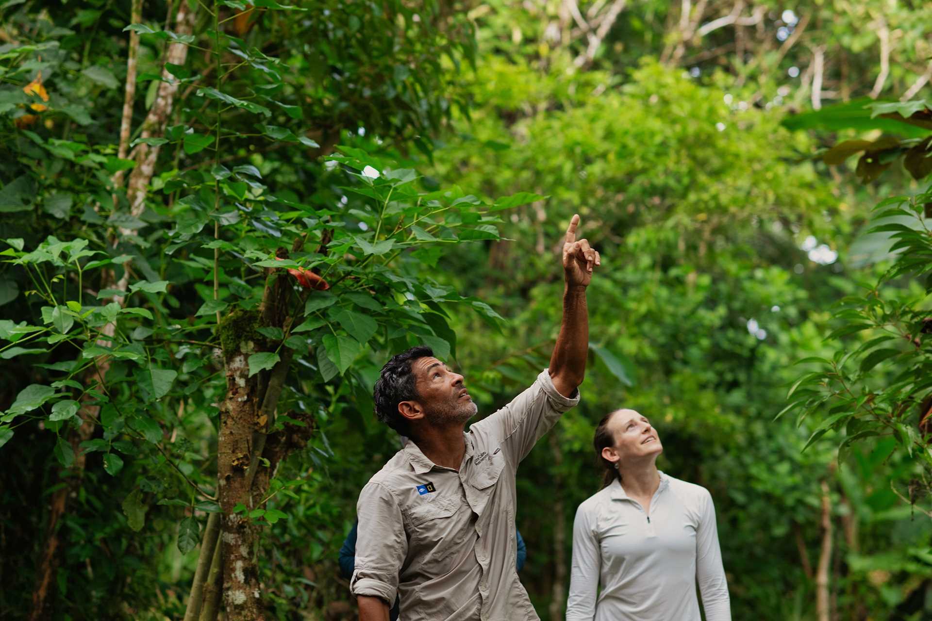 National Geographic-Lindblad Expeditions naturalist Jose Calvo and guest looking in the trees of Costa Rica.