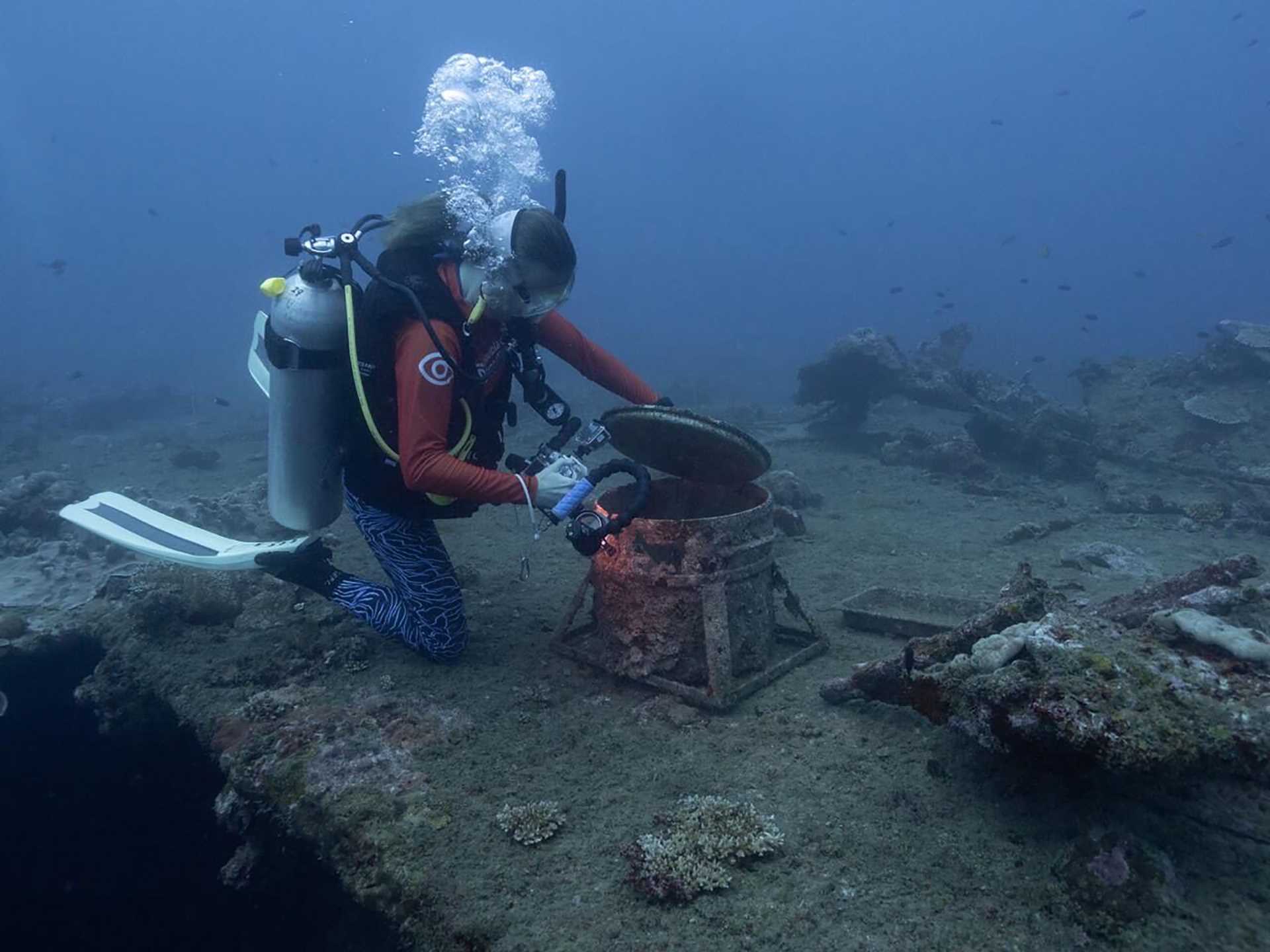 a diver explores a shipwreck