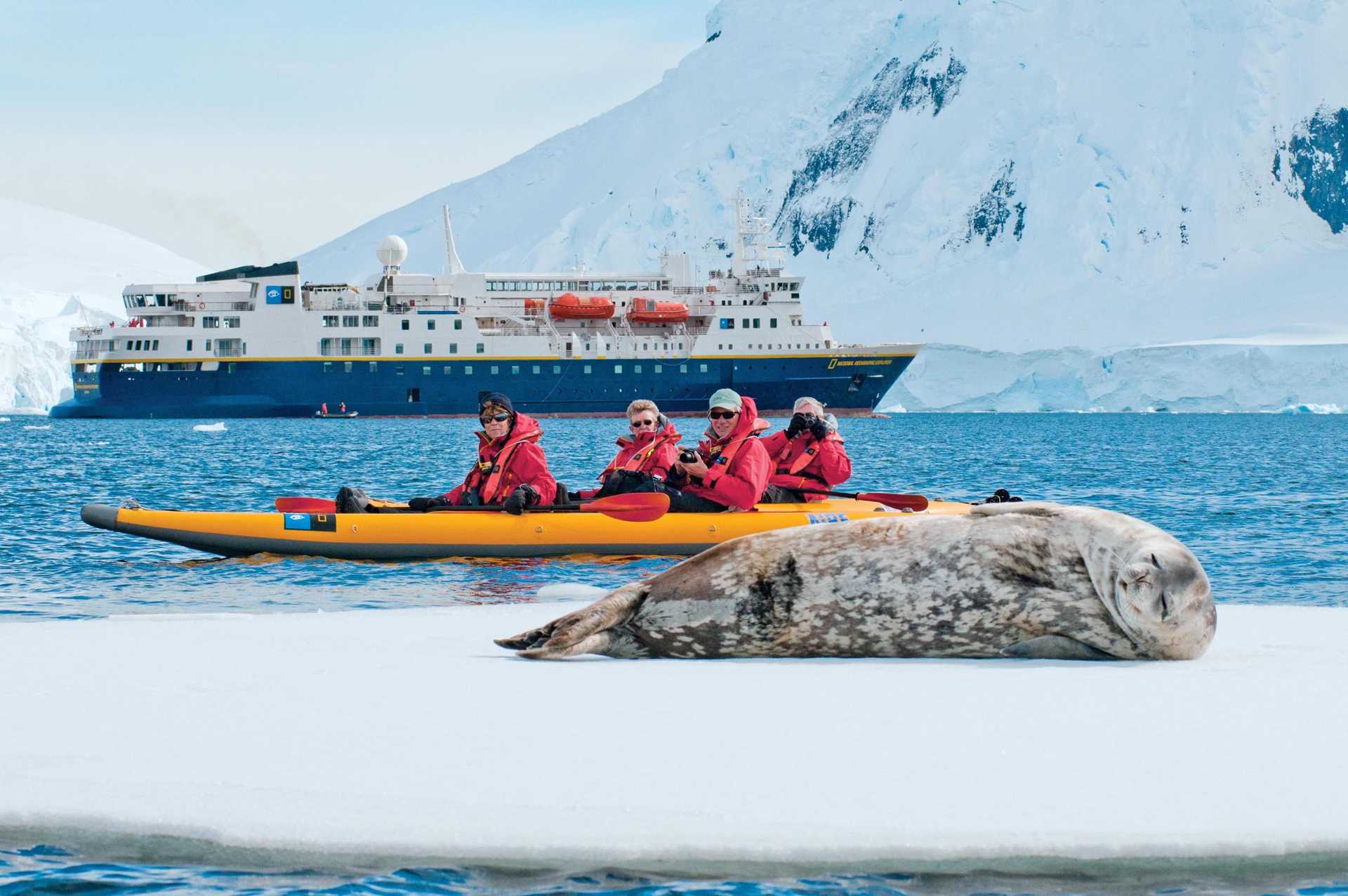 Kayakers photograph seal.jpg