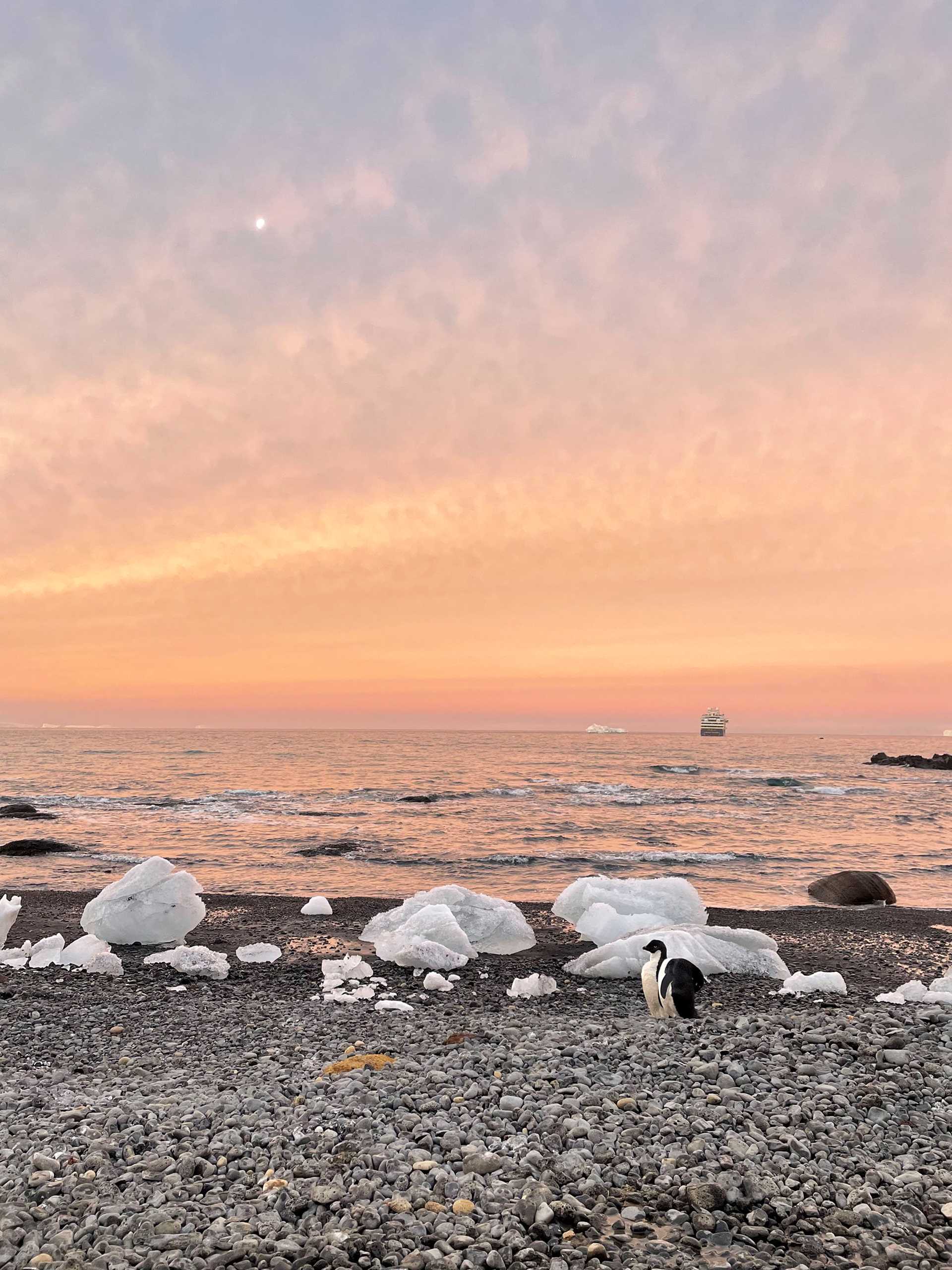 Antarctica sunset with penguins in the foreground