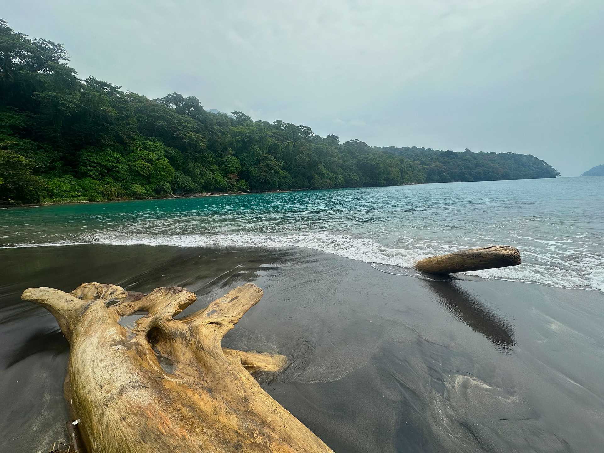 black sand beach